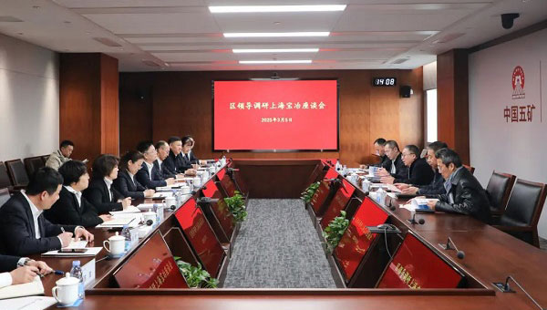 宝山区委副书记、区长邓小冬一行调研上海宝冶