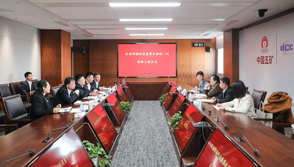 岳文彦会见河北邢钢科技有限公司董事长杨林一行