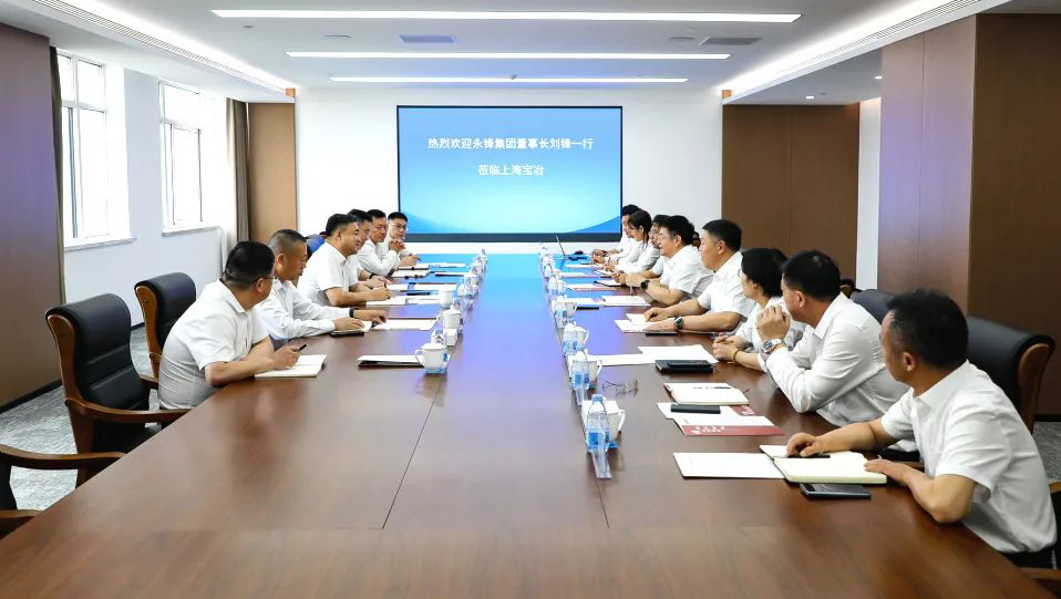 永锋集团董事长刘锋一行到访上海宝冶